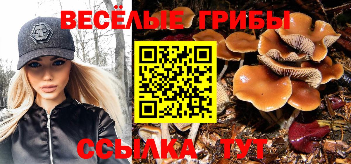 Псилоцибиновые грибы Psilocybine cubensis  Вход с VPN  Югорск 